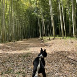 オノヤ 宇都宮宝木リフォームショールーム ブログ「ろまんちっく村」