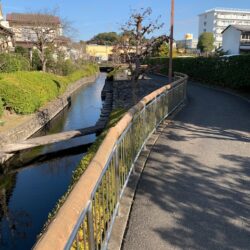 オノヤ 宇都宮宝木リフォームショールーム ブログ「遊歩道」