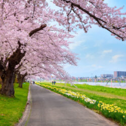 オノヤ 宇都宮宝木リフォームショールーム ブログ「春の兆し」