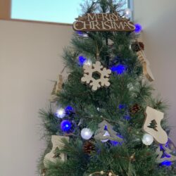 オノヤ 宇都宮宝木リフォームショールーム ブログ「クリスマスツリー」
