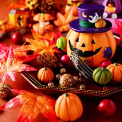 オノヤ 宇都宮宝木リフォームショールーム ブログ「ハロウィンが近づいてきました！」
