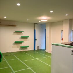 オノヤ 宇都宮宝木リフォームショールーム ブログ「宇都宮市内にて店舗フルリフォーム工事進行中」