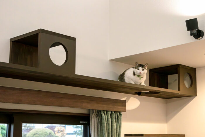 リフォーム施工事例：宇都宮市　開放的な空間で人も猫も心地よい住まい