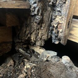 オノヤ 宇都宮宝木リフォームショールーム ブログ「宇都宮市　浴室リフォーム工事」