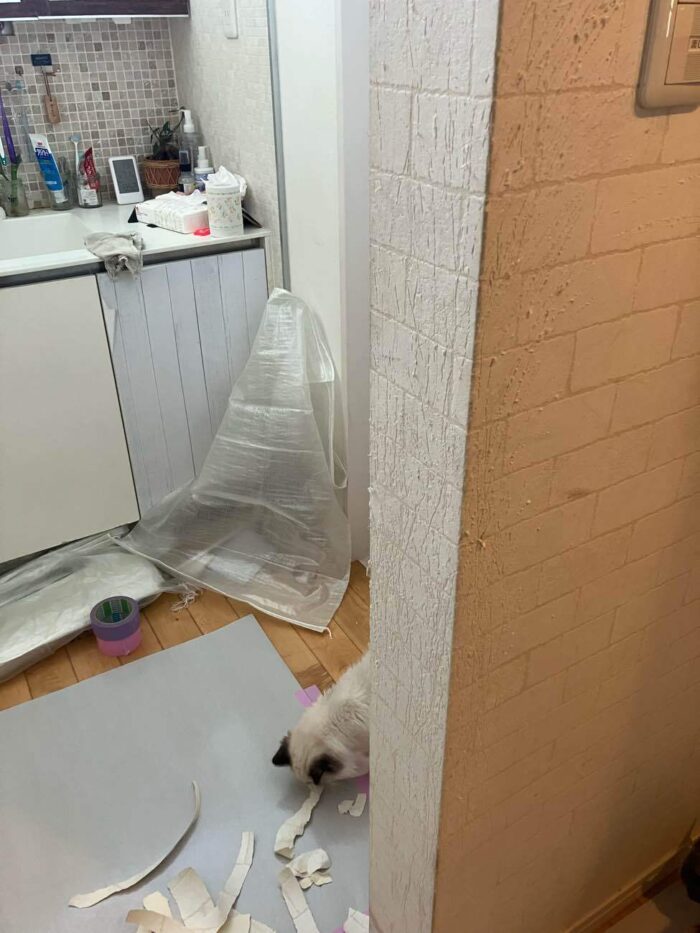 オノヤ 宇都宮宝木リフォームショールーム ブログ「宇都宮市リフォーム　ペットリフォーム」