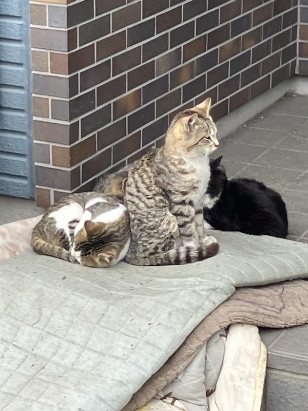 オノヤ 宇都宮宝木リフォームショールーム ブログ「宇都宮市　リビング工事Ⅱ」