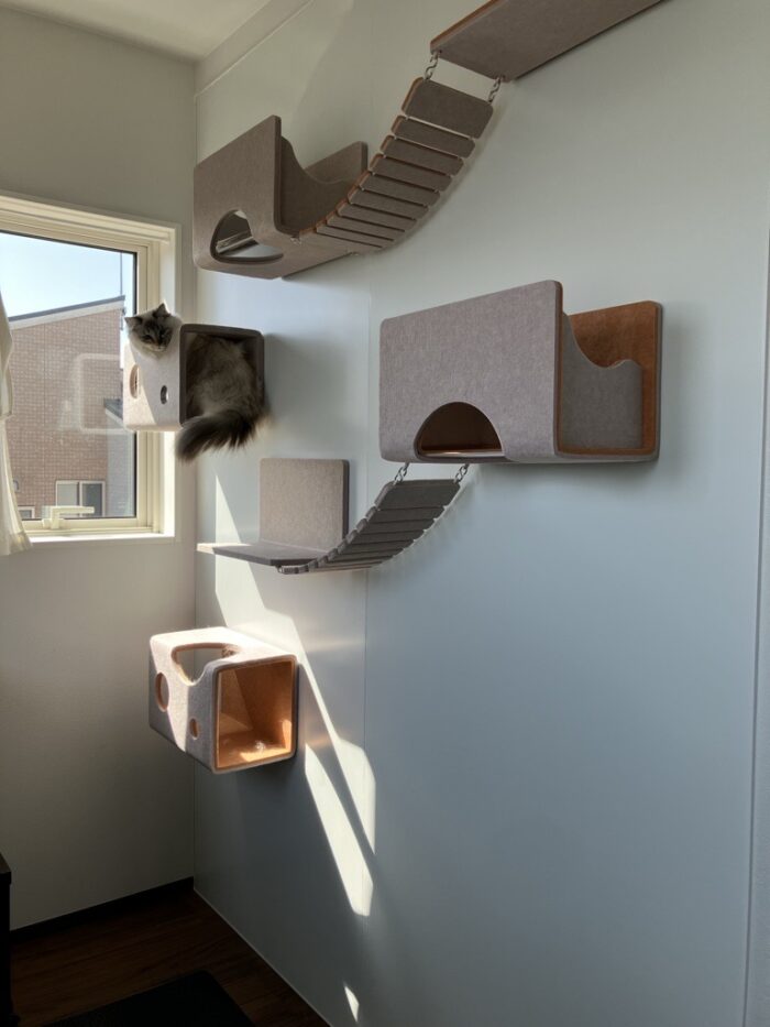 オノヤ 宇都宮宝木リフォームショールーム ブログ「宇都宮市　ペットリフォーム　にゃんぺき編」